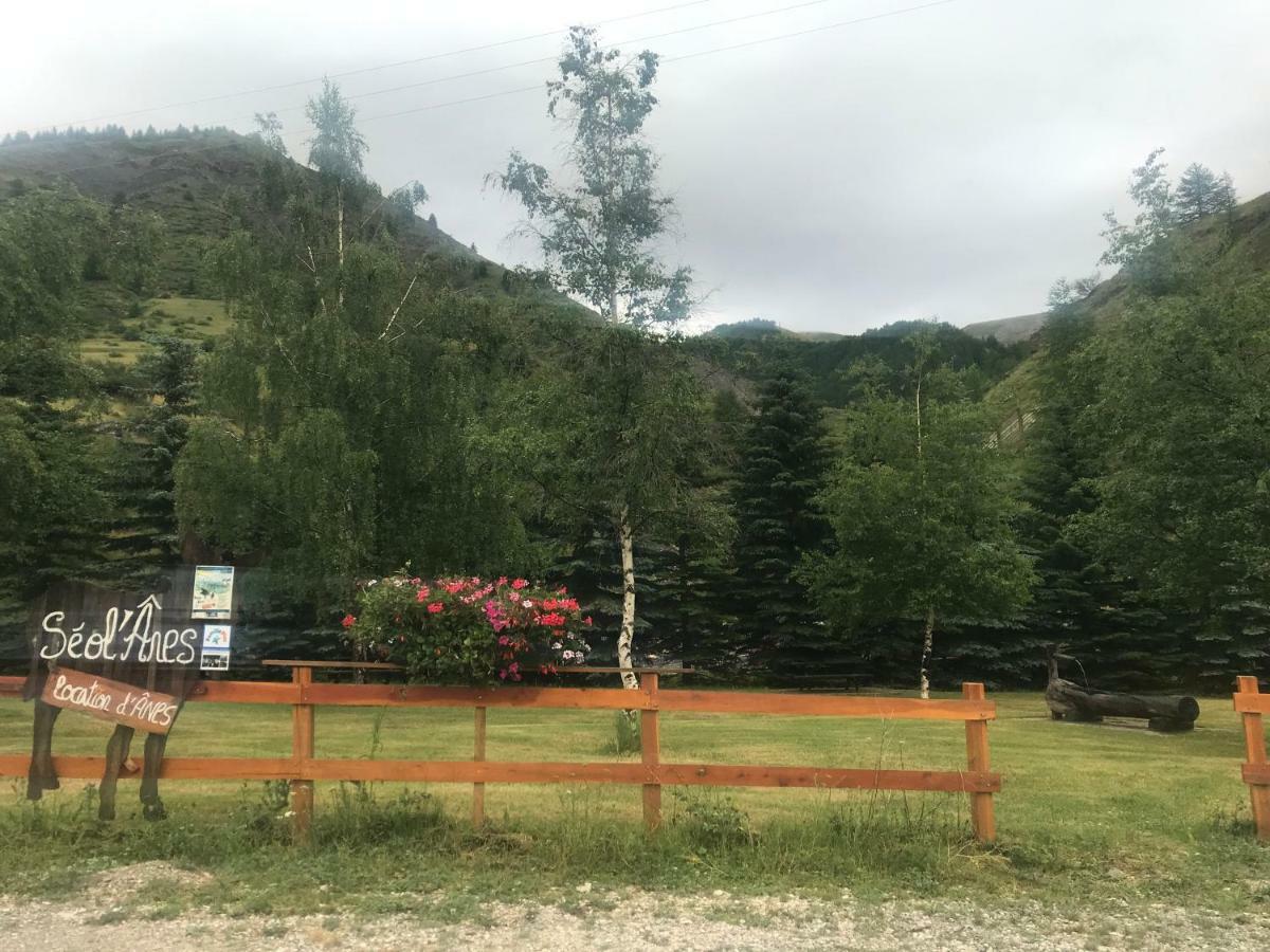 Studio Chaleureux A La Foux D'Allos Ngoại thất bức ảnh